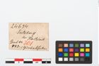 Etikett zu Bronzegürtelhaken (NHMW-PRAE-024634)